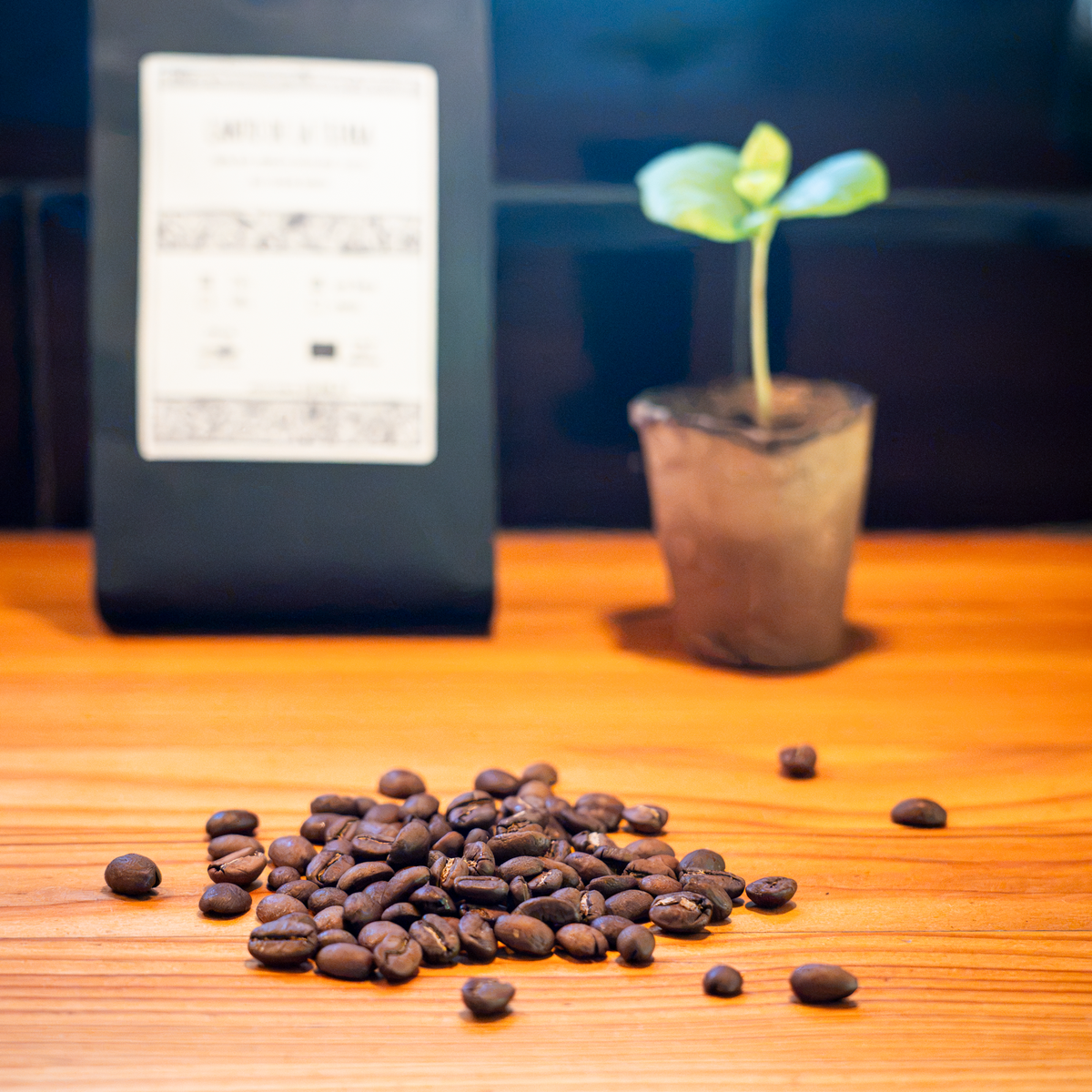 Canto de la Tierra - 100 % Bio-Arabica Hochland-Kaffee
