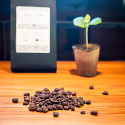 Canto de la Tierra - 100 % Bio-Arabica Hochland-Kaffee