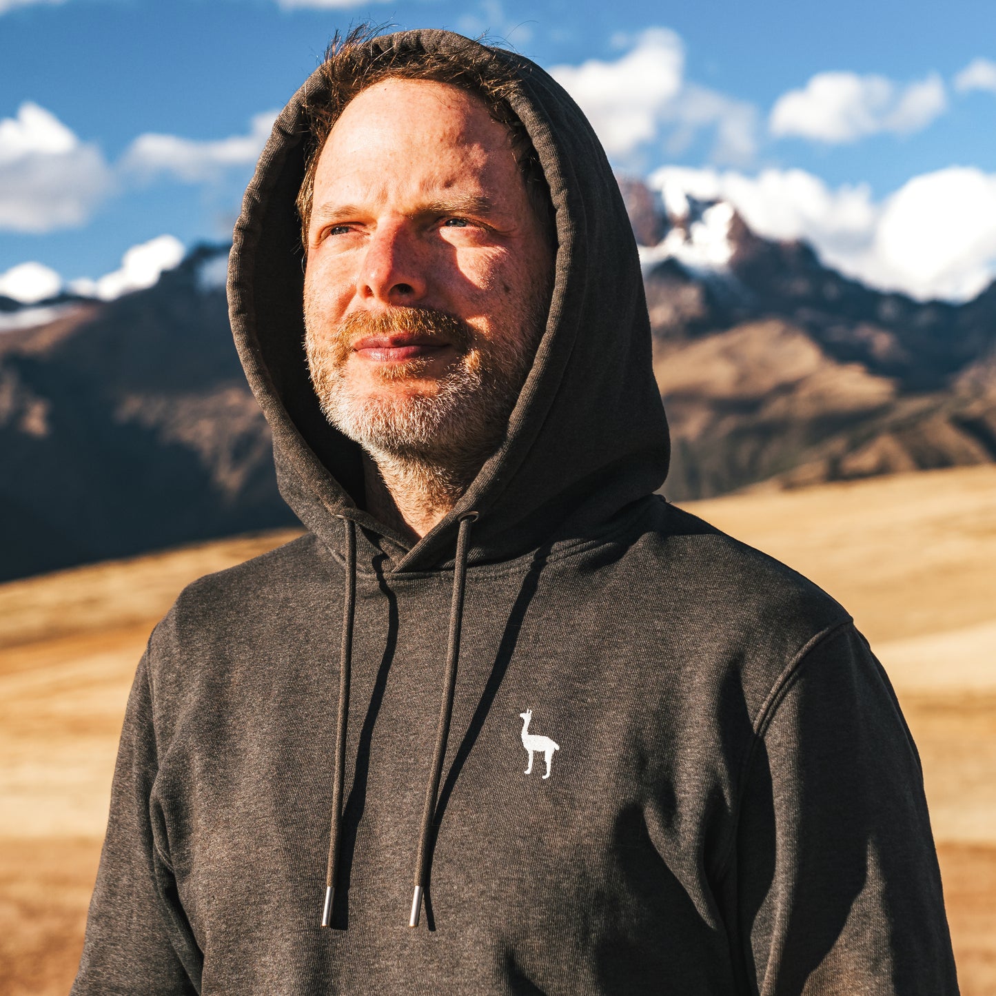 Hoodie: Alpaca - unisex