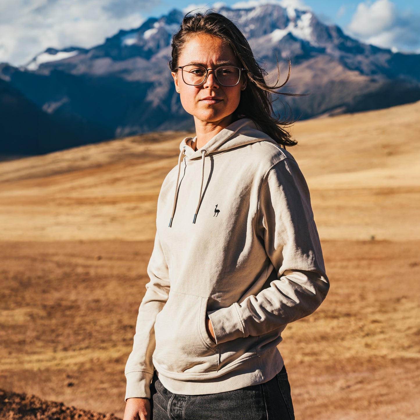 Hoodie: Alpaca - unisex